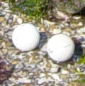 golfballs on Point Cook beach